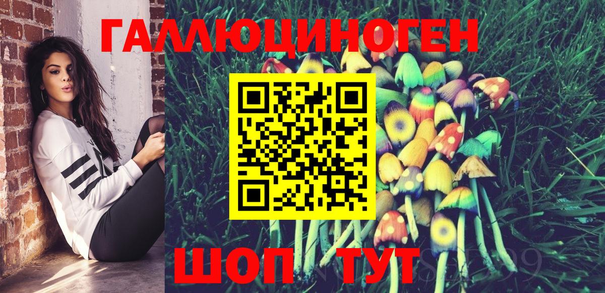 Галлюциногенные грибы Magic Shrooms  Галлюциногенные грибы GOLDEN TEACHER  Шебекино  Вход с VPN 