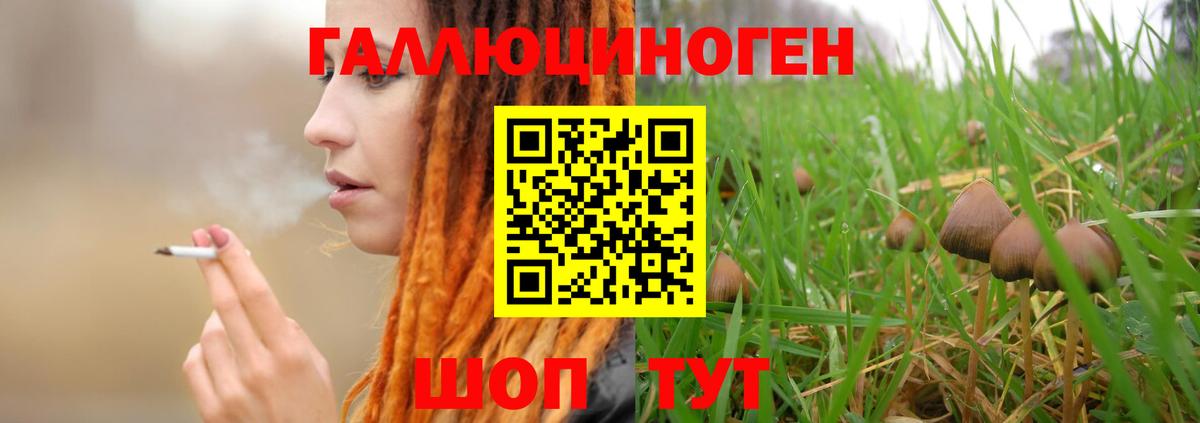 Псилоцибиновые грибы Cubensis Шебекино