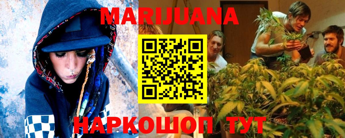 Конопля гибрид Шебекино